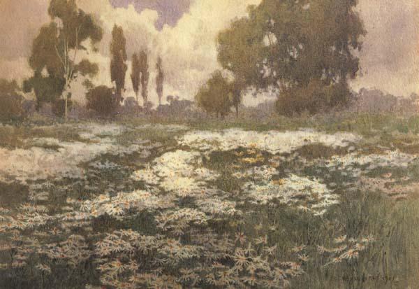 unknow artist Field of Daisies Spain oil painting art